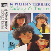 16 Pilihan Terbaik Endang S Taurina