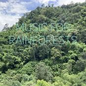 Music fоr Rainforests