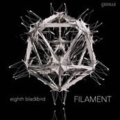 Eighth Blackbird: Filament