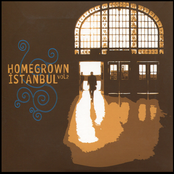 Homegrown Istanbul, Vol. 2