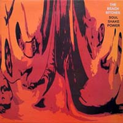 Soul Shake Power