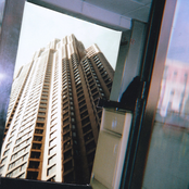 TRUE BEAUTY(and other things) ノノ