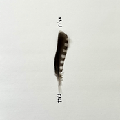 rise&FALL