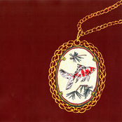 Friko: Weird Fishes/ Arpeggi