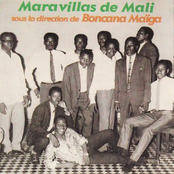 Orquesta Maravillas De Mali