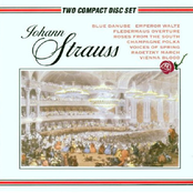 The Strauss Family Disc 2
