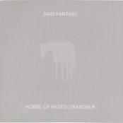 Horse Of Faded Grandeur by Said Fantasy