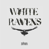 White Ravens