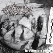 Irreversible Forms