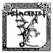 Fall Into Bloody Carnage LP