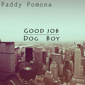 Paddy Pomona