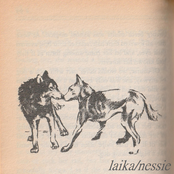 laika/nessie