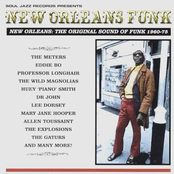 New Orleans Funk - The Original Sound Of Funk 1960-75