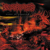 Mandatory Suicide by Decapitated