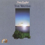 The Waiting by Peter Buffett