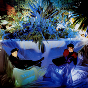 Party Fears Two by The Associates