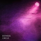 Circus