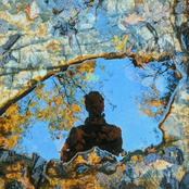 Is This What Life Is Like?