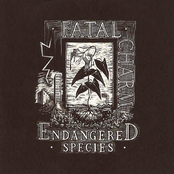 Endangered Species (Remastered 2006)