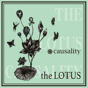 Lucis by The Lotus