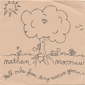 Tall Oaks From Tiny Acorns Grow