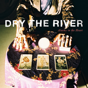 Med School by Dry The River