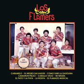 Los Flamers