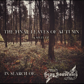 The Final Leaves Of Autumn