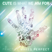 Cute Is What We Aim For: Practice Makes Perfect