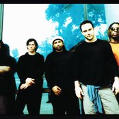 Аватар для Dave Matthews Band