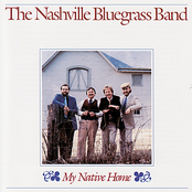 Endless Sleep by The Nashville Bluegrass Band