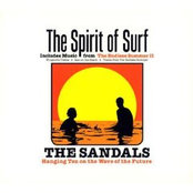 Theme From Endless Summer by The Sandals
