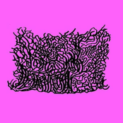 Foreskin Decapitation