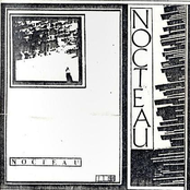 nocteau