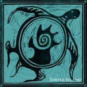 Renee Christine: Turtle Island
