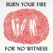 Burn Your Fire for No Witness