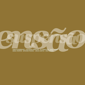 Suspensão