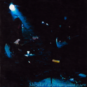 tokyo underground '95