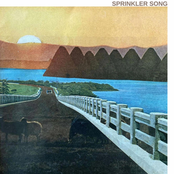 Charlie Havenick: Sprinkler Song