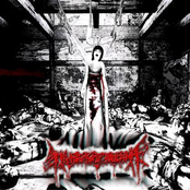 Para Amanecer Cojiendo