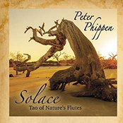 Solace Tao of Nature's Flutes