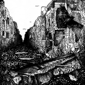 Gutter / Dirty Wombs 12'' Split