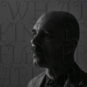 WHAT KIND OF FLOWER ARE YOU?