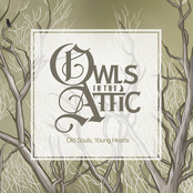 Owls In The Attic: Old Souls, Young Hearts