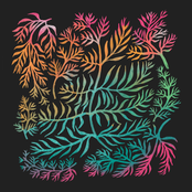 Fractals