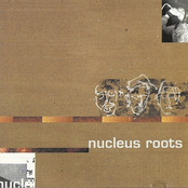 Nucleus Roots