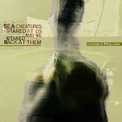 Sea Creatures Stared at Us and We Stared Back at Them