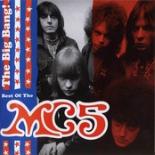 MC5: The Big Bang: The Best of the MC5