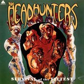 Album cover for Survival Of The Fittest, by The Headhunters
