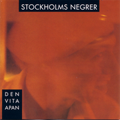 No Brain No Pain by Stockholms Negrer